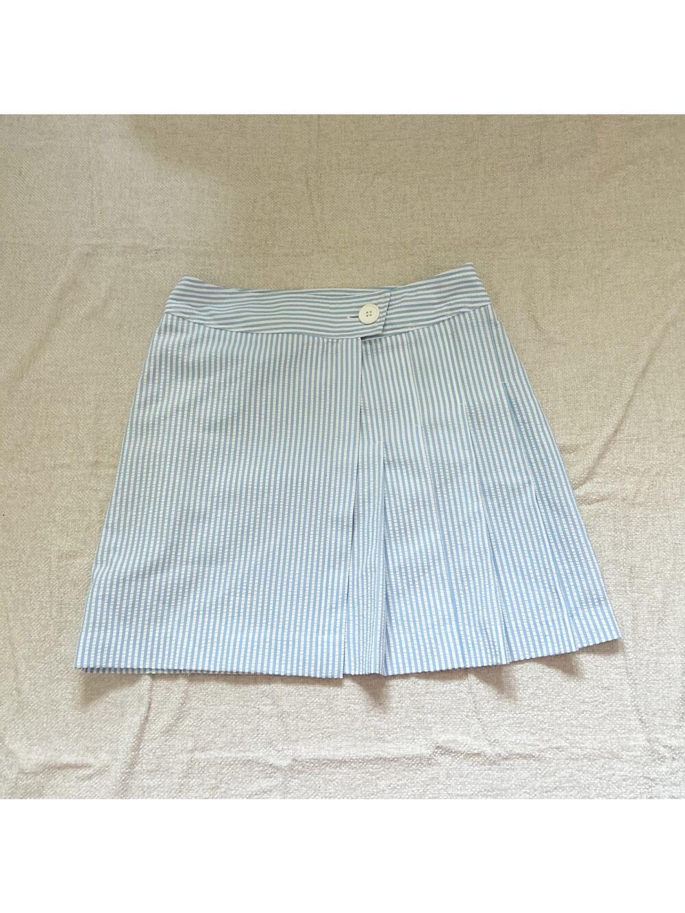 blue and white pinstriped vintage mini skirt